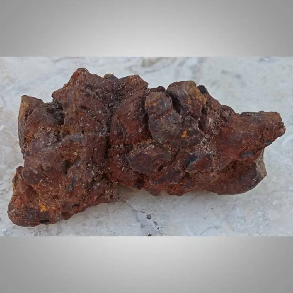 coprolite fossilized dung 02 fossil